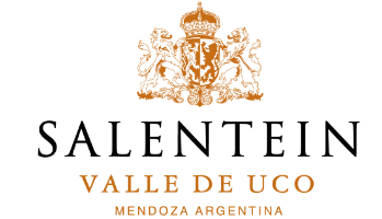 SALENTEIN