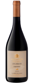 SALENTEIN SINGLE VINEYARD SAN PABLO LOS JABALIES PINOT NOIR 2019 X 750 CC