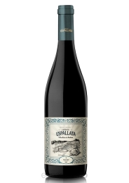 ESTANCIA USPALLATA MALBEC X 750 CC