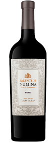 SALENTEIN NUMINA MALBEC X 750 CC