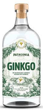 GIN PATAGONIA GINKGO X 500 CC